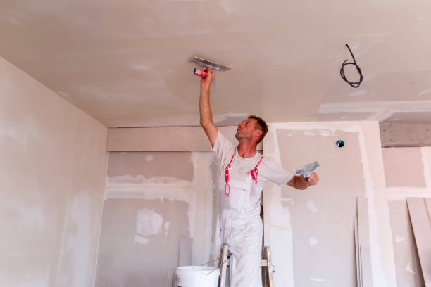 Best Wallpaper Removal and Painting  in Omaha, NE