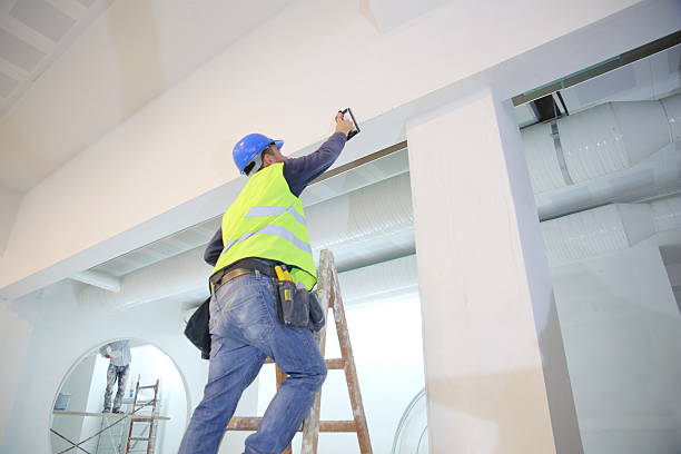 Best Water-Damaged Drywall Repair  in Omaha, NE